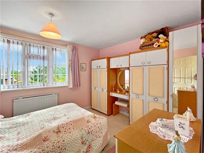 Picture 15